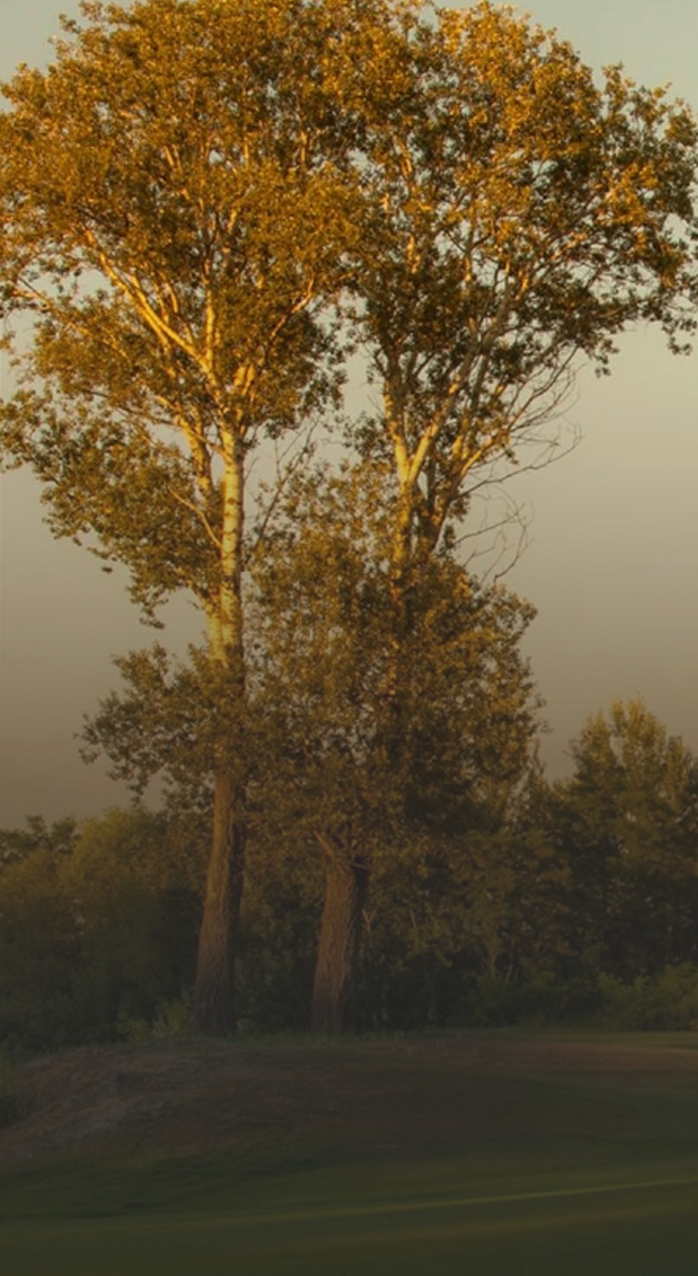 HB Golf výstavba golfových hřišť